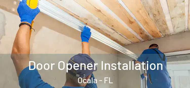  Door Opener Installation Ocala - FL