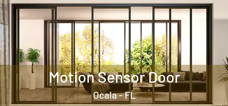 Motion Sensor Door Ocala - FL